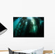 Giant Kelp Macrocystis Pyrifera Wall Decal Design 4