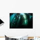 Giant Kelp Macrocystis Pyrifera Wall Decal Design 4