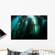 Giant Kelp Macrocystis Pyrifera Wall Decal Design 4