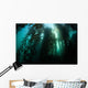 Giant Kelp Macrocystis Pyrifera Wall Decal Design 4