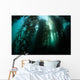 Giant Kelp Macrocystis Pyrifera Wall Decal Design 4