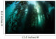 Giant Kelp Macrocystis Pyrifera Wall Decal Design 4