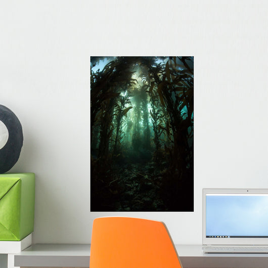 Giant Kelp Macrocystis Pyrifera Wall Decal Design 3