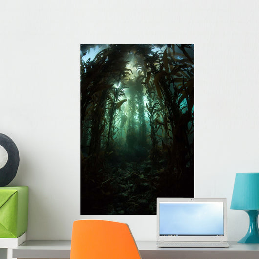 Giant Kelp Macrocystis Pyrifera Wall Decal Design 3
