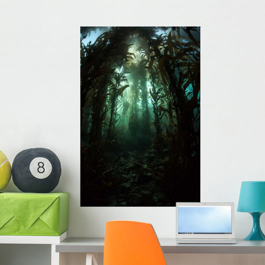Giant Kelp Macrocystis Pyrifera Wall Decal Design 3