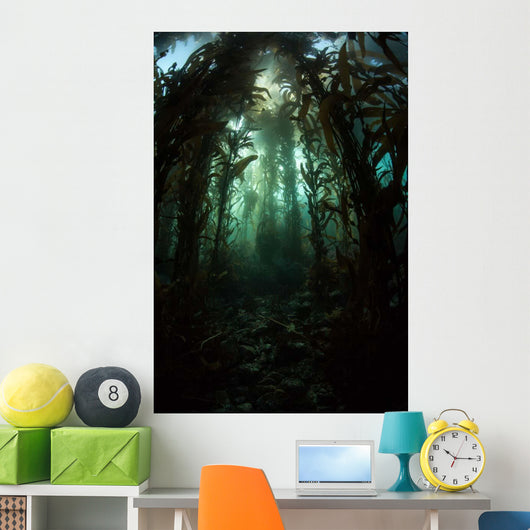 Giant Kelp Macrocystis Pyrifera Wall Decal Design 3