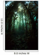 Giant Kelp Macrocystis Pyrifera Wall Decal Design 3