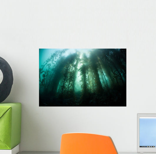 Giant Kelp Macrocystis Pyrifera Wall Decal Design 2