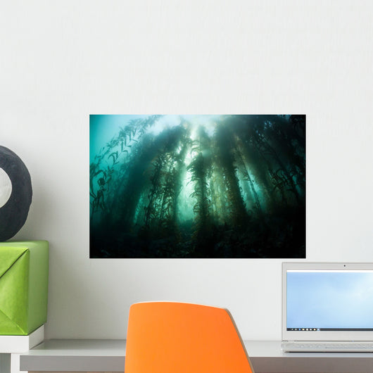 Giant Kelp Macrocystis Pyrifera Wall Decal Design 2