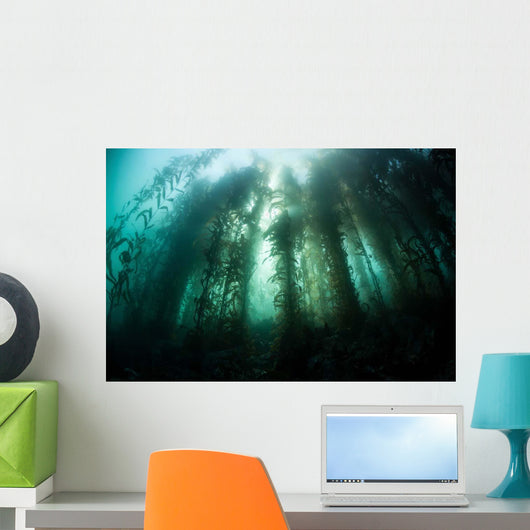 Giant Kelp Macrocystis Pyrifera Wall Decal Design 2