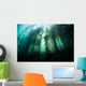 Giant Kelp Macrocystis Pyrifera Wall Decal Design 2