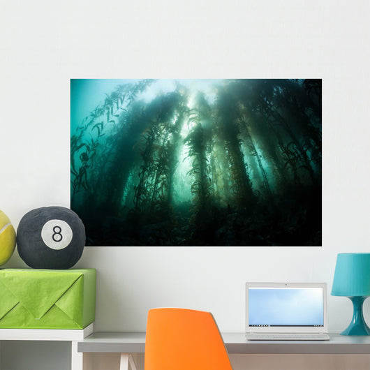 Giant Kelp Macrocystis Pyrifera Wall Decal Design 2