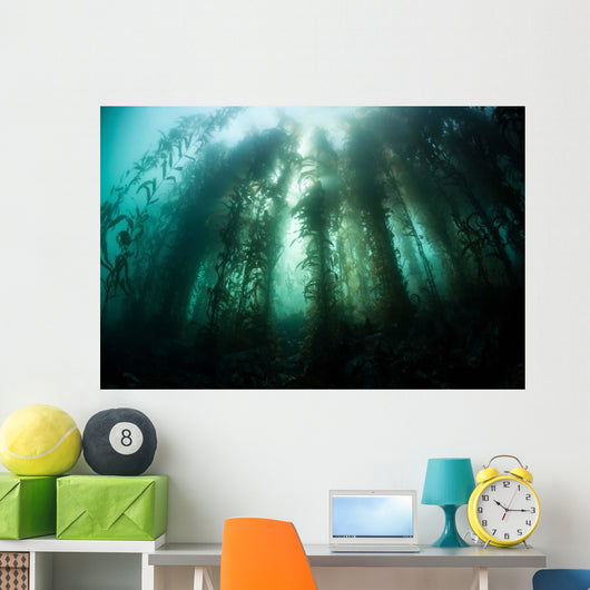 Giant Kelp Macrocystis Pyrifera Wall Decal Design 2