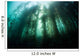 Giant Kelp Macrocystis Pyrifera Wall Decal Design 2