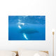 Mother and Calf Humpback Wall Decal Design 4