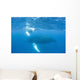 Mother and Calf Humpback Wall Decal Design 4