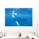 Mother and Calf Humpback Wall Decal Design 4