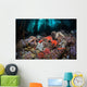 Colorful Starfish Cover Bottom Wall Decal