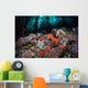 Colorful Starfish Cover Bottom Wall Decal