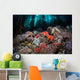 Colorful Starfish Cover Bottom Wall Decal