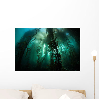 Giant Kelp Macrocystis Pyrifera Wall Decal Design 1 shown on a wall