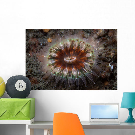 Large Coral Polyp Grows Wall Decal