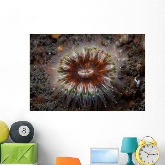 Large Coral Polyp Grows Wall Decal