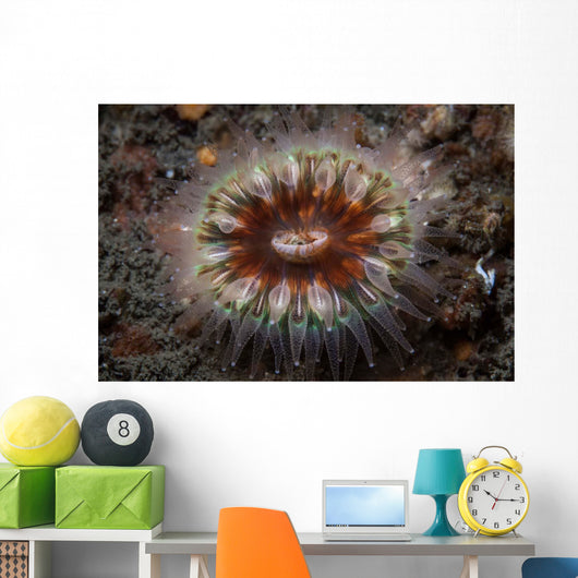 Large Coral Polyp Grows Wall Decal