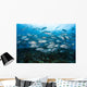 School Bigeye Jacks Swimming Wall Decal Design 1