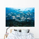 School Bigeye Jacks Swimming Wall Decal Design 1