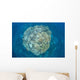 Large Coral Bommie Grows Wall Decal Design 2