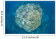Large Coral Bommie Grows Wall Decal Design 2