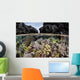 Colorful Coral Reef Grows Wall Decal Design 7