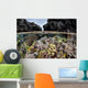 Colorful Coral Reef Grows Wall Decal Design 7