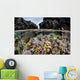Colorful Coral Reef Grows Wall Decal Design 7