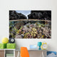 Colorful Coral Reef Grows Wall Decal Design 7