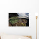 Coral Reef Grows Shallow Wall Decal Design 2