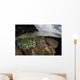 Coral Reef Grows Shallow Wall Decal Design 2