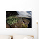 Coral Reef Grows Shallow Wall Decal Design 2