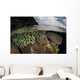 Coral Reef Grows Shallow Wall Decal Design 2