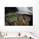 Coral Reef Grows Shallow Wall Decal Design 2