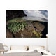 Coral Reef Grows Shallow Wall Decal Design 2
