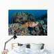 Cuttlefish Lays Eggs Fire Wall Decal