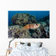 Cuttlefish Lays Eggs Fire Wall Decal