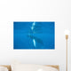 Humpback Whale Swimming Just Wall Decal