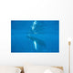 Humpback Whale Swimming Just Wall Decal