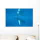 Humpback Whale Swimming Just Wall Decal