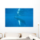 Humpback Whale Swimming Just Wall Decal