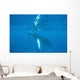 Humpback Whale Swimming Just Wall Decal