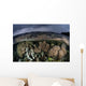Colorful Coral Reef Grows Wall Decal Design 6